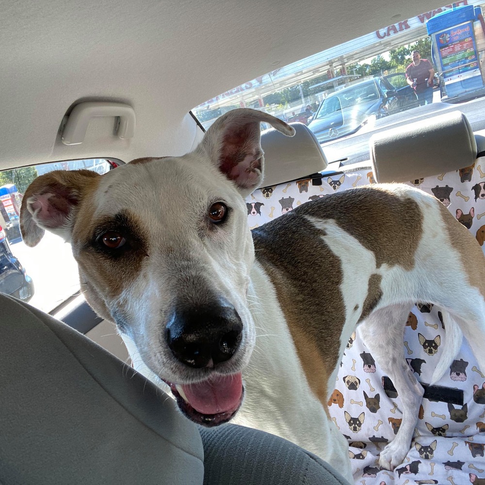 Meet your Posher, Jackie